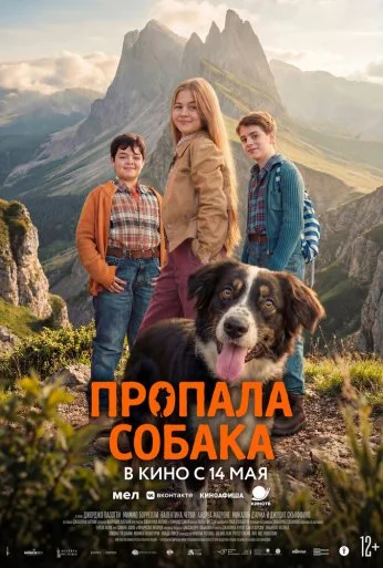 Пропала собака (2025) онлайн бесплатно
